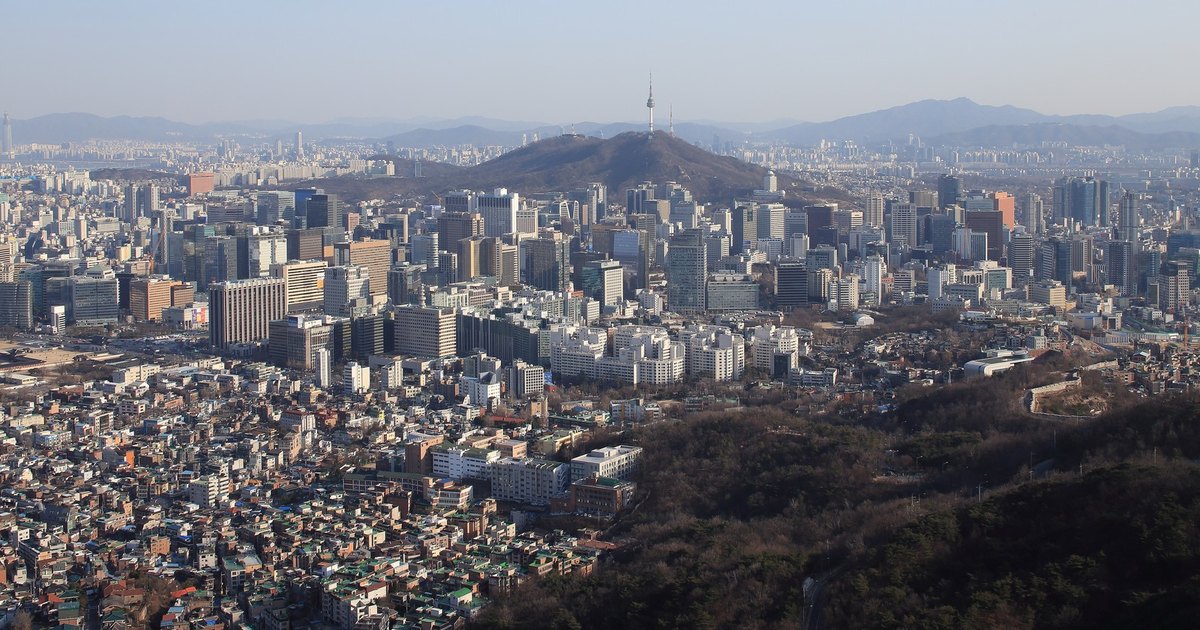 영주(F-5) vs 귀화(국적취득)|세금·투표·해외체류·자녀 기준 완전비교
